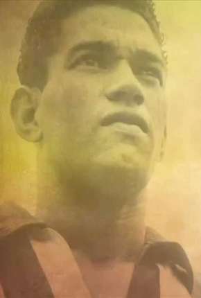 Capa O Mito de Garrincha