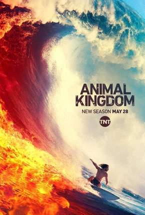 Série Animal Kingdom - 4ª Temporada Legendada - Torrent