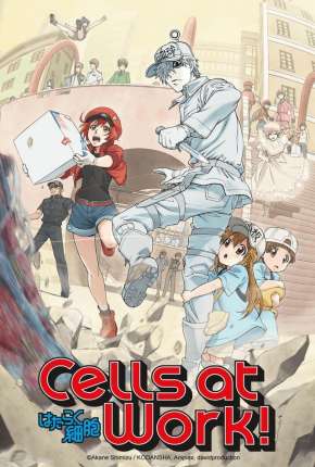 Anime Hataraku Saibou - Cells at Work - Torrent