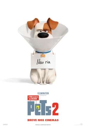 Filme Pets - A Vida Secreta dos Bichos 2 - Torrent