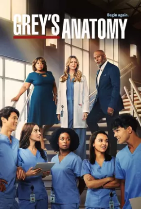 Série Greys Anatomy - 19ª Temporada - Torrent