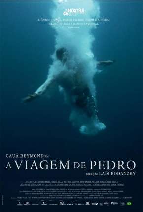 Filme A Viagem de Pedro - Torrent