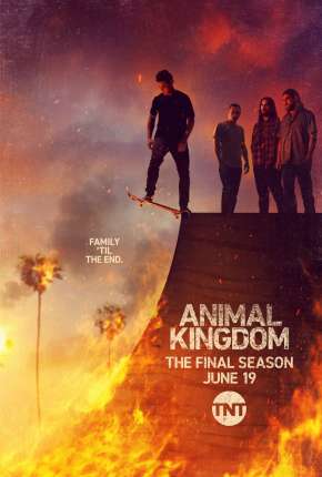 Capa Animal Kingdom - 5ª Temporada Legendada