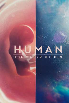 Série Corpo Humano - Nosso Mundo Interior - 1ª Temporada Completa - Torrent
