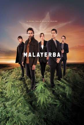 Capa MalaYerba - 1ª Temporada