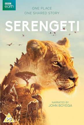 Série Serengeti - 2ª Temporada Completa Legendada - Torrent