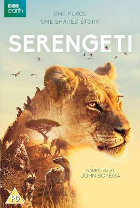 Capa Serengeti - 2ª Temporada Completa Legendada