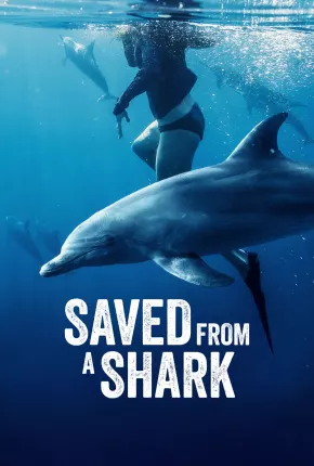 Filme Resgatados dos Tubarões - Torrent
