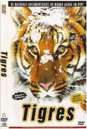 Filme Tigres / Na Sombra do Tigre - Baixar