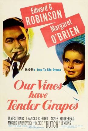 Filme O Roseiral da Vida / Our Vines Have Tender Grapes - Baixar