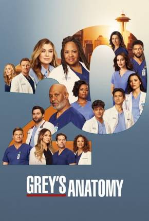 Capa Anatomia de Grey - 20ª Temporada Legendada
