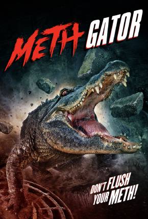 Filme Attack of the Meth Gator - Legendado - Torrent