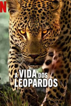 Filme A Vida dos Leopardos - Torrent