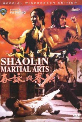 Capa As Artes Marciais de Shaolin / Hong quan yu yong chun
