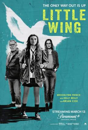 Filme Little Wing - Torrent