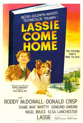 Filme Lassie - A Força do Coração - Torrent