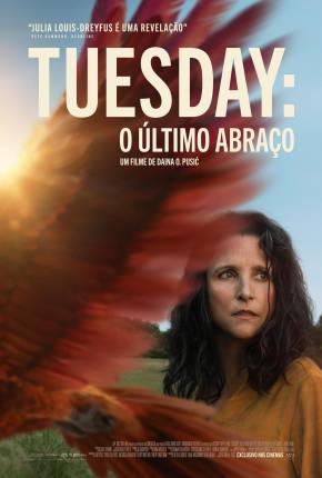 Filme Tuesday - O Último Abraço - CAM - Legendado e Dublado Não Oficial - Torrent