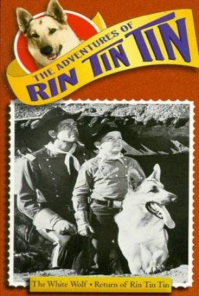 Série As Aventuras de Rin Tin Tin - 1ª Temporada - Baixar