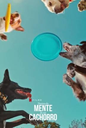 Filme Dentro da Mente de um Cachorro - Torrent