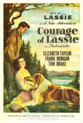 Filme A Coragem de Lassie / Courage of Lassie - Baixar